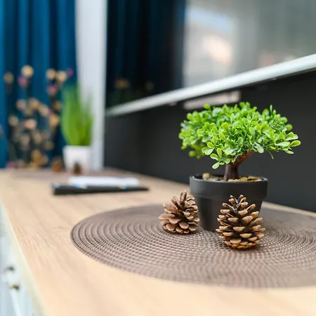 Apartman Djukic Sokobanja